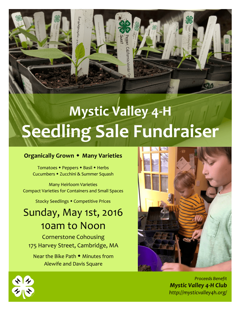 SeedlingSale20160501