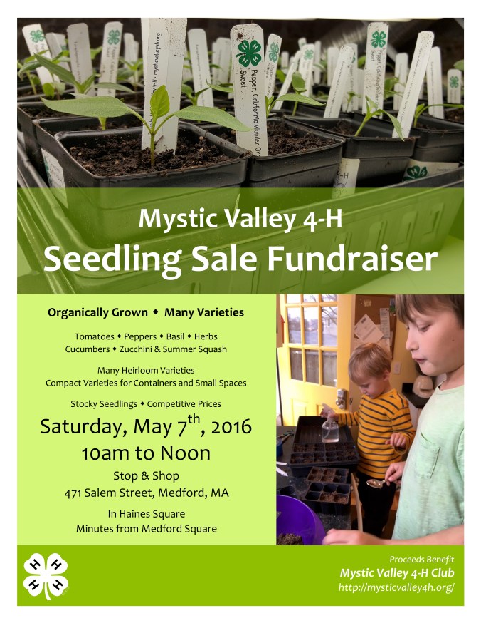 SeedlingSale20160507